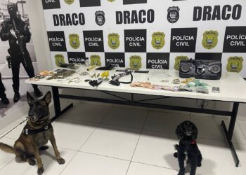 Com extensa ficha criminal, líder de organização criminosa é preso durante operação Draco 115