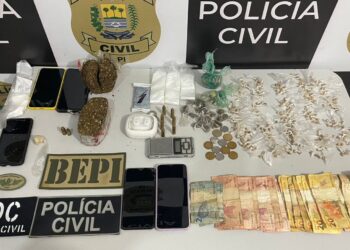 Polícia Civil realiza apreensão de mais de 10 mil quilos de drogas em 2024