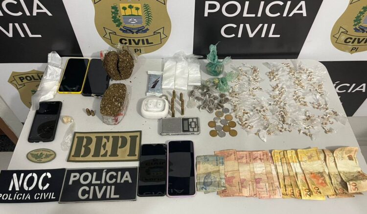 Polícia Civil realiza apreensão de mais de 10 mil quilos de drogas em 2024