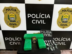 Polícia Civil realiza apreensão de mais de 10 mil quilos de drogas em 2024