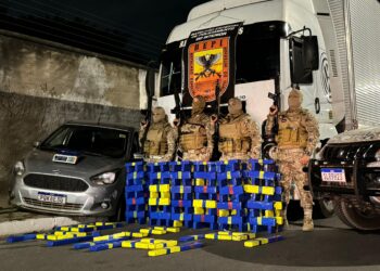 Polícia apreende mais de 100kg de maconha transportada em carga de pães no Piauí