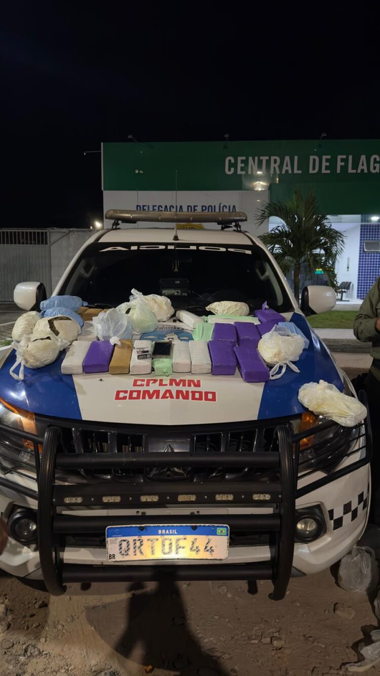 Grande quantidade de drogas é apreendida em ônibus na rodoviária de Parnaíba