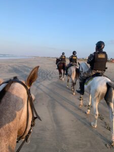 Polícia Militar realiza prisões, recupera veículos e apreende drogas durante operação no litoral