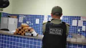 PMPI apreende mais de 20kg de maconha no litoral do Piauí