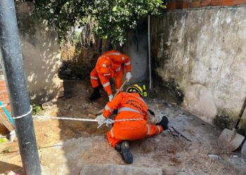 Polícia Civil encontra suposto corpo de adolescente em fossa e prende líder de facção em Pedro II