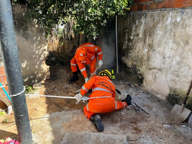 Polícia Civil encontra suposto corpo de adolescente em fossa e prende líder de facção em Pedro II