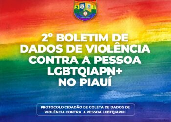 Secretaria da Segurança divulga dados de crimes cometidos contra a população LGBTQIAPN+ no Piauí