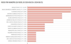 Piauí registra redução de 42% nos focos de incêndio em agosto, segundo Corpo de Bombeiros