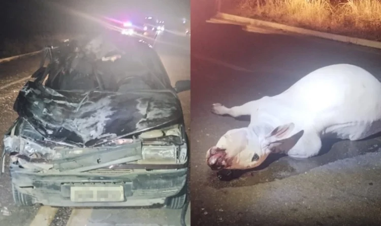 Colisão entre carro e animal deixa idoso morto e criança ferida na BR-132 no Piauí