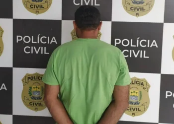 Homem é preso acusado de assassinar e ocultar cadáver de ex-esposa no Piauí