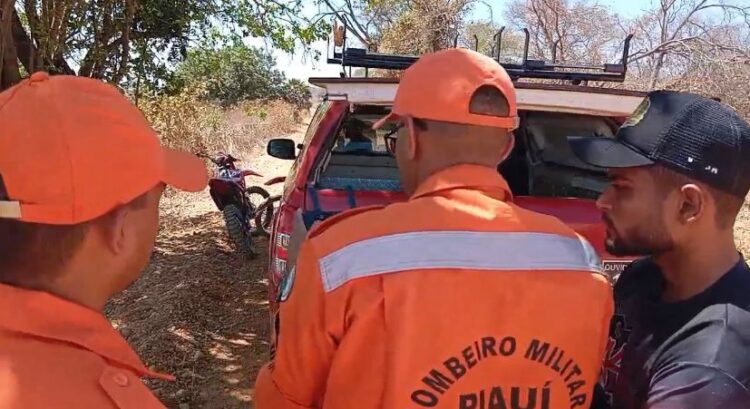 Incêndio na BR-343 provoca densa fumaça e causa colisão leve entre veículos próximo a Teresina