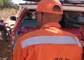 Incêndio na BR-343 provoca densa fumaça e causa colisão leve entre veículos próximo a Teresina