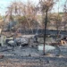 Forte incêndio destrói três casas e deixa rastro de perdas em Lagoa do Piauí