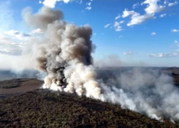 Incêndio atinge áreas de mata na divisa entre Piauí e Ceará