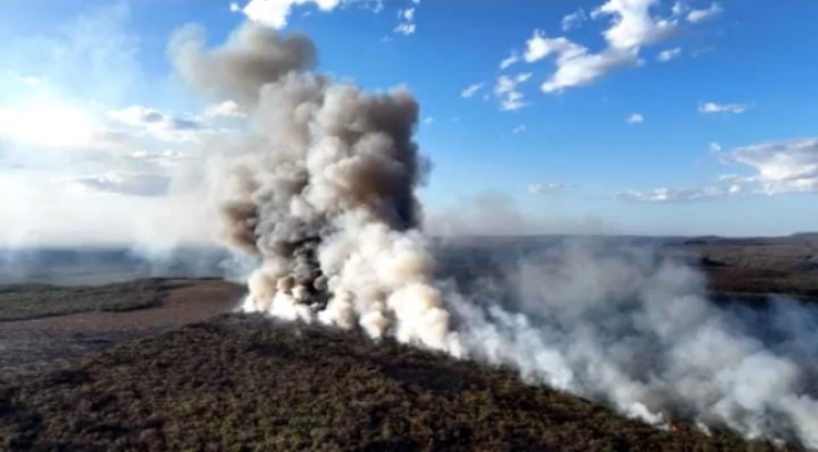 Incêndio atinge áreas de mata na divisa entre Piauí e Ceará