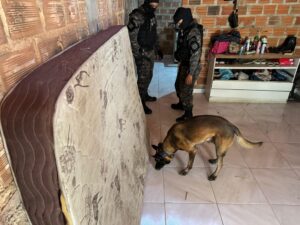 DRACO deflagra operação contra membros de organizações criminosas em Teresina