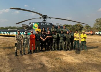 Bombeiros militares combatem incêndio florestal no município de Canto do Buriti