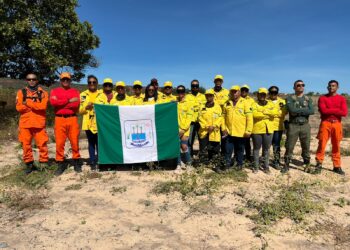 Bombeiros Militares, Bopaer e Brigadistas seguem intensificando combate a incêndios florestais no Piauí