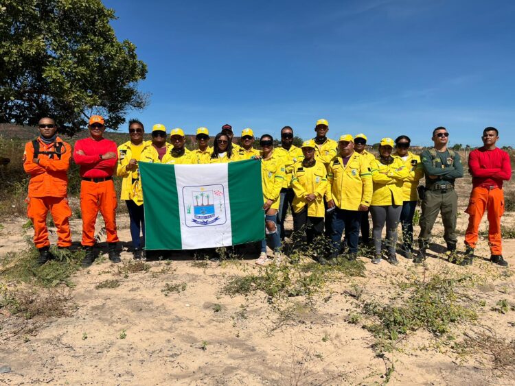 Bombeiros Militares, Bopaer e Brigadistas seguem intensificando combate a incêndios florestais no Piauí