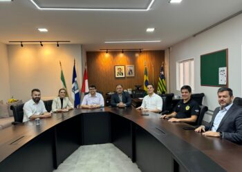 SSP e Deputada Bárbara do Firmino discutem Projeto de Lei que visa reforçar a Segurança Cibernética no Piauí