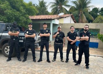 Polícia Civil do Piauí participa operação de combate a pedofilia coordenada pelo GAECO/SP