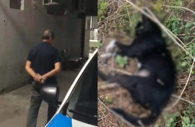 Homem é preso após matar cachorro de vizinho com tiros em Miguel Alves