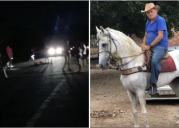 Rei do Gado' morre após acidente entre moto e bicicleta na PI-215 em Campo Maior