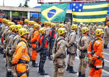 Bombeiros do Piauí concluem curso de salvamento em altura no estado de Goiás