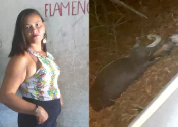 Mulher sofre grave acidente na PI-113