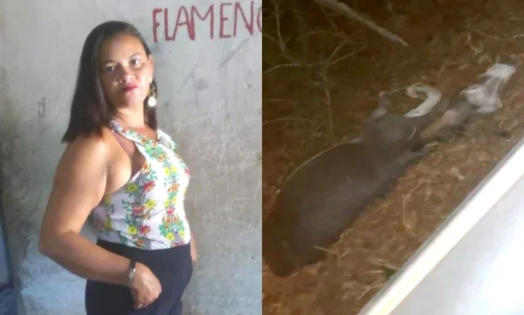 Mulher sofre grave acidente na PI-113